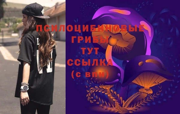 ГАЛЛЮЦИНОГЕННЫЕ ГРИБЫ Краснотурьинск