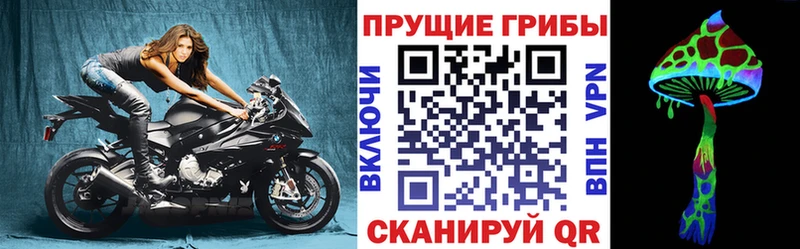 Псилоцибиновые грибы мицелий Заринск